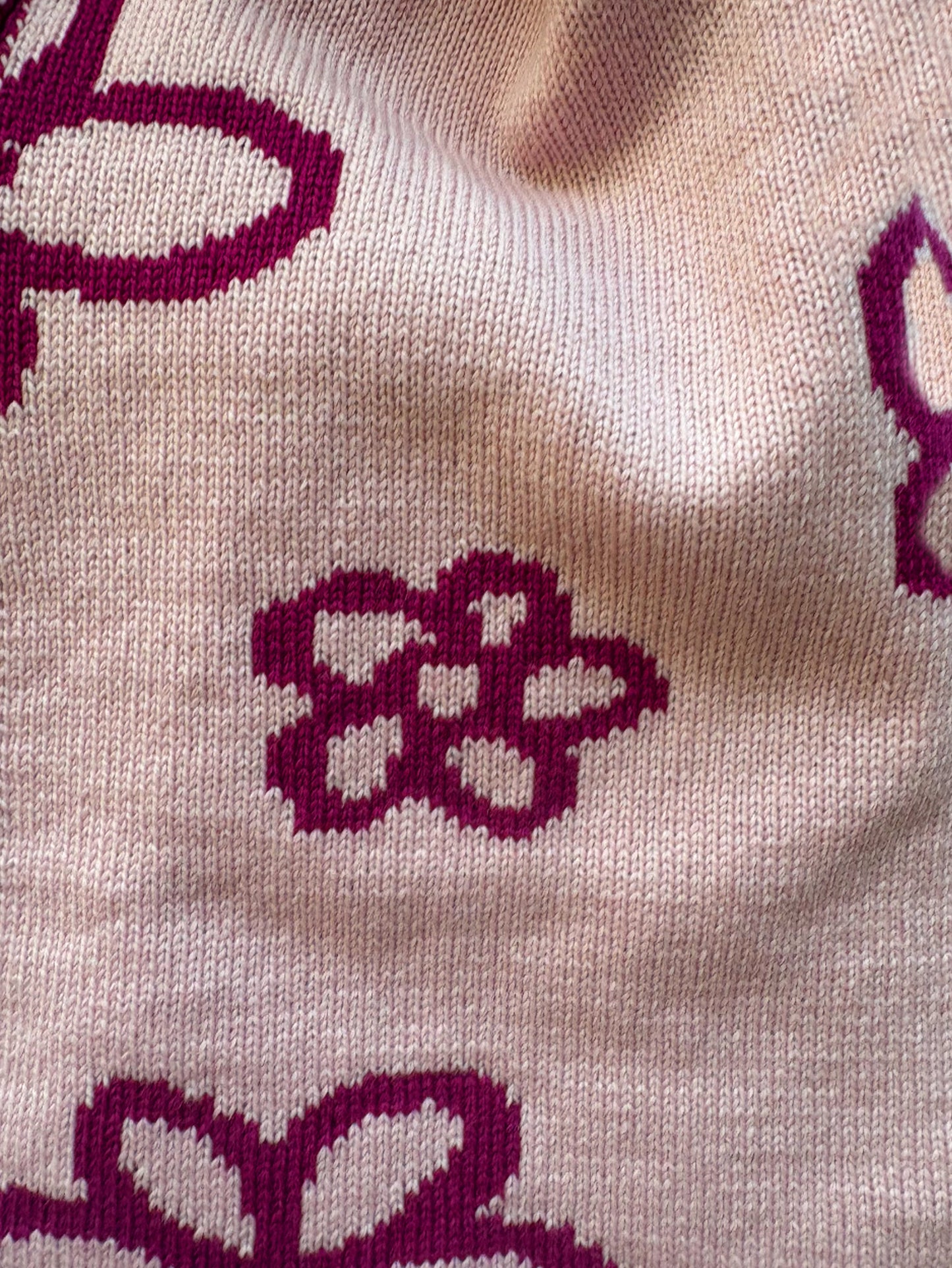 Daisy Wool and Cashmere Scarf in Wine and Pink