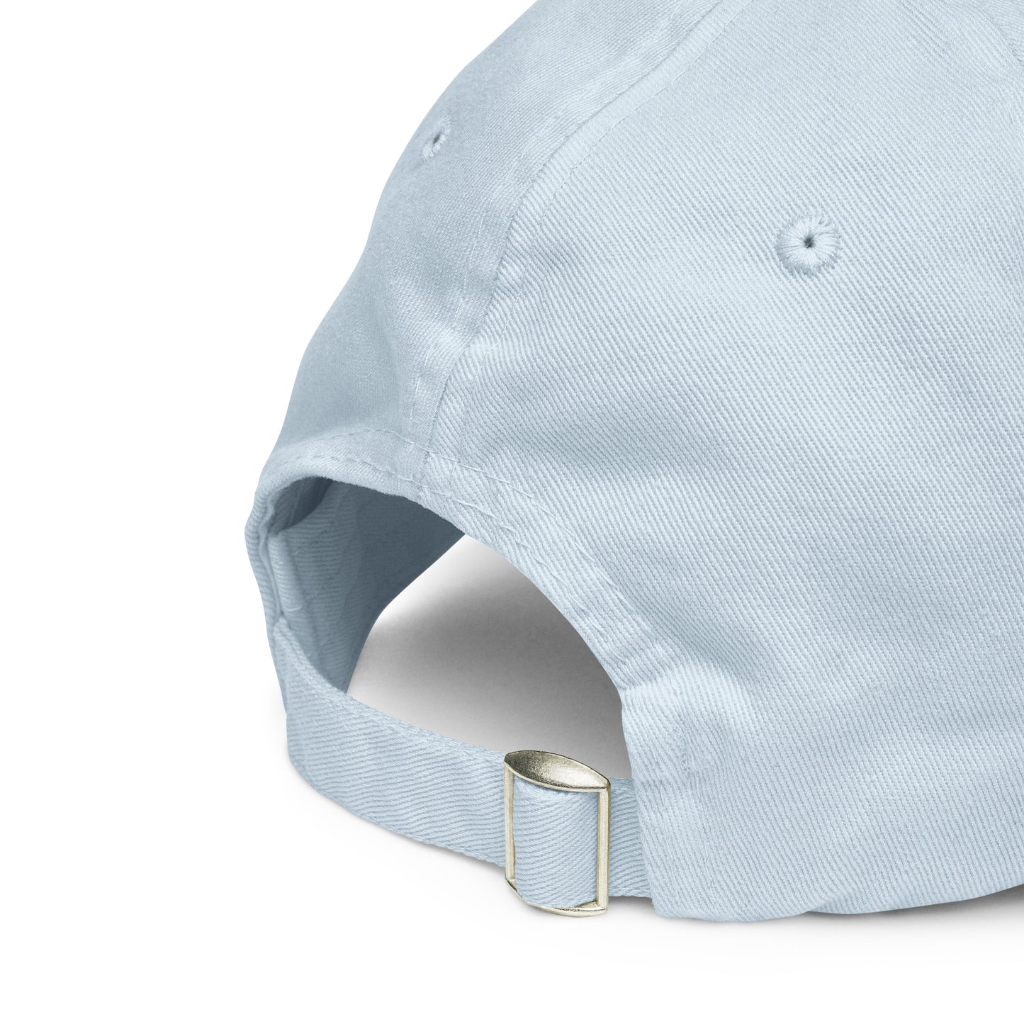 Retired in Hastings Pastel Cap in Blue