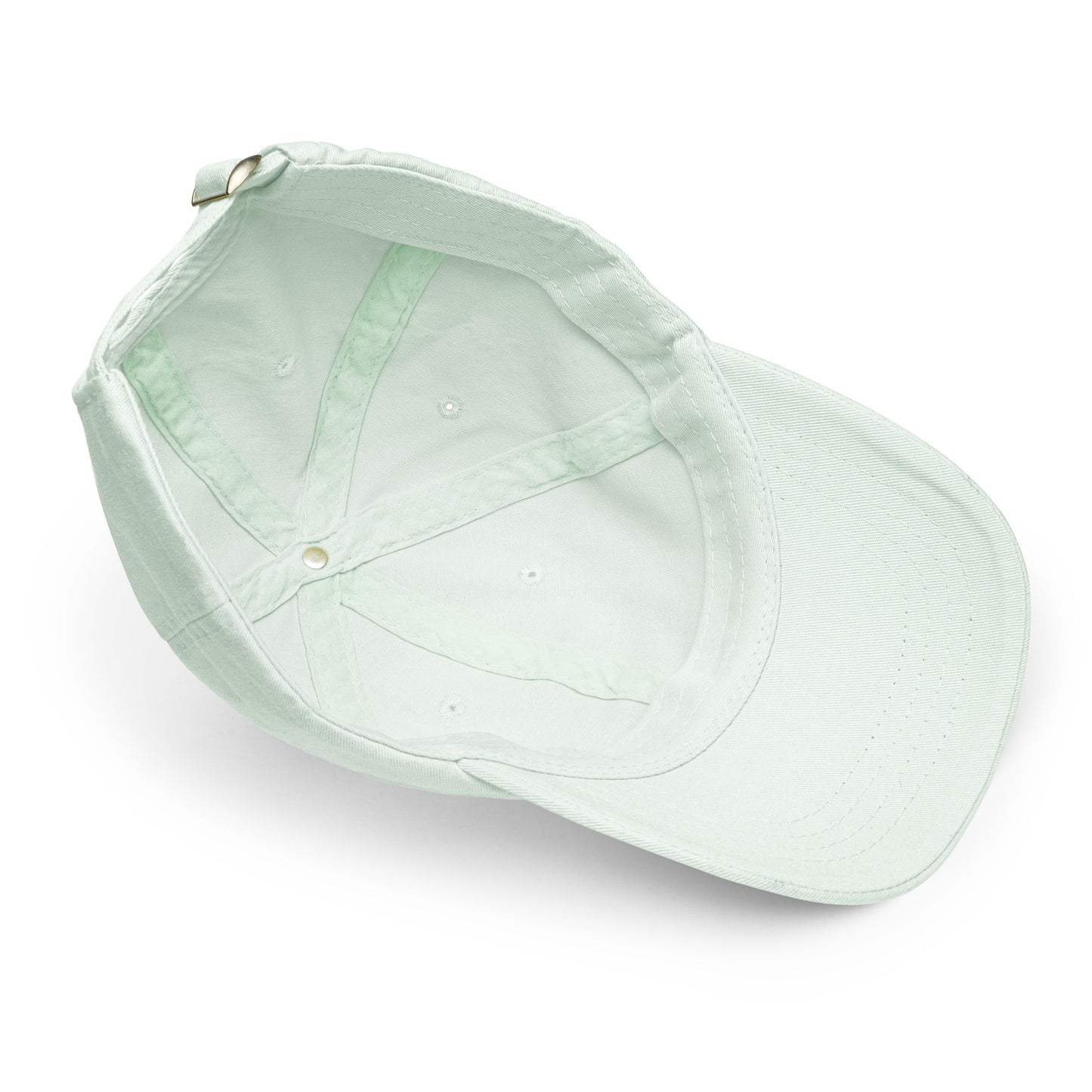Retired in Hastings Pastel Cap in Blue