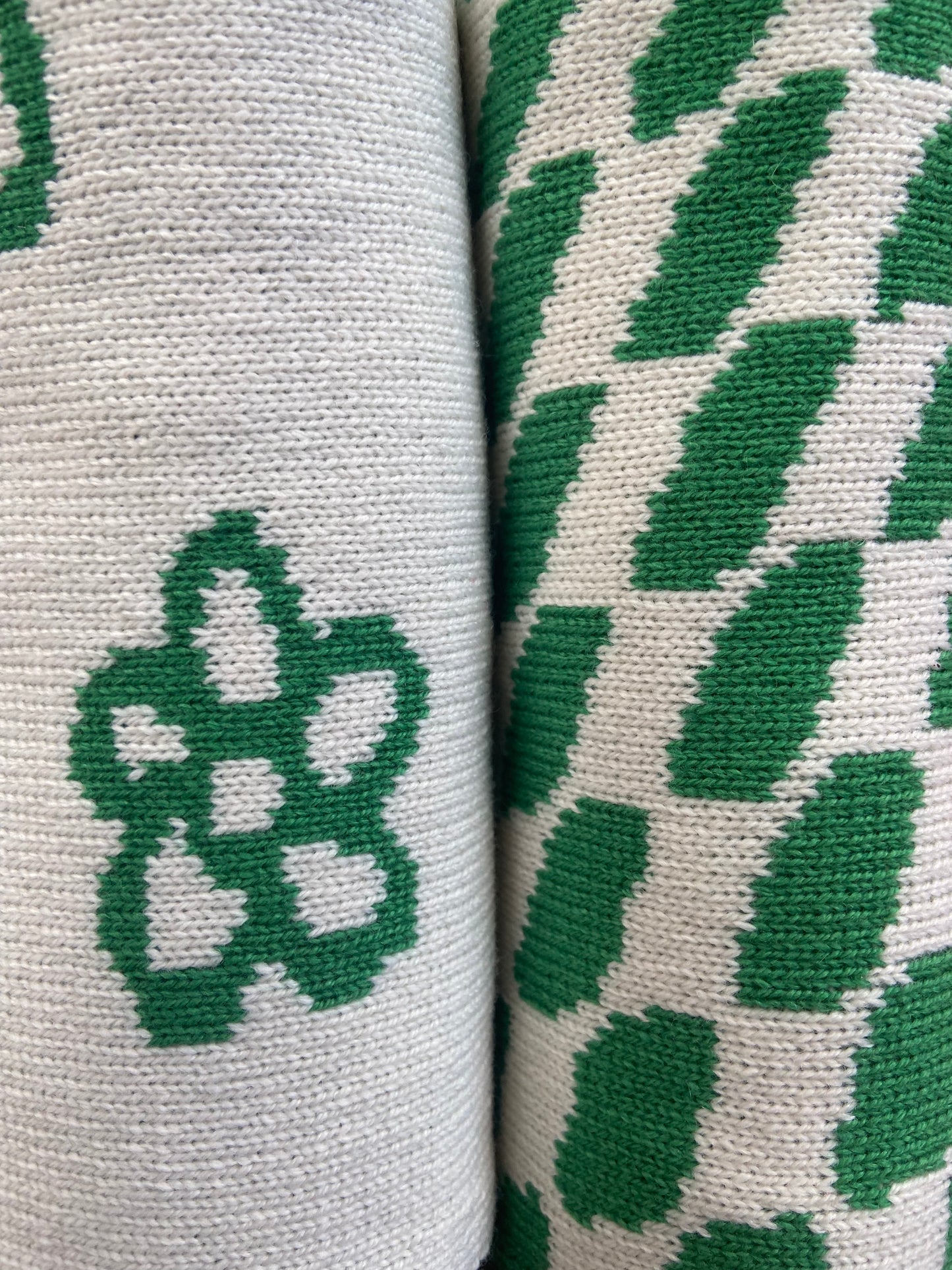 Checkered Wool and Cashmere Scarf in Jade Green