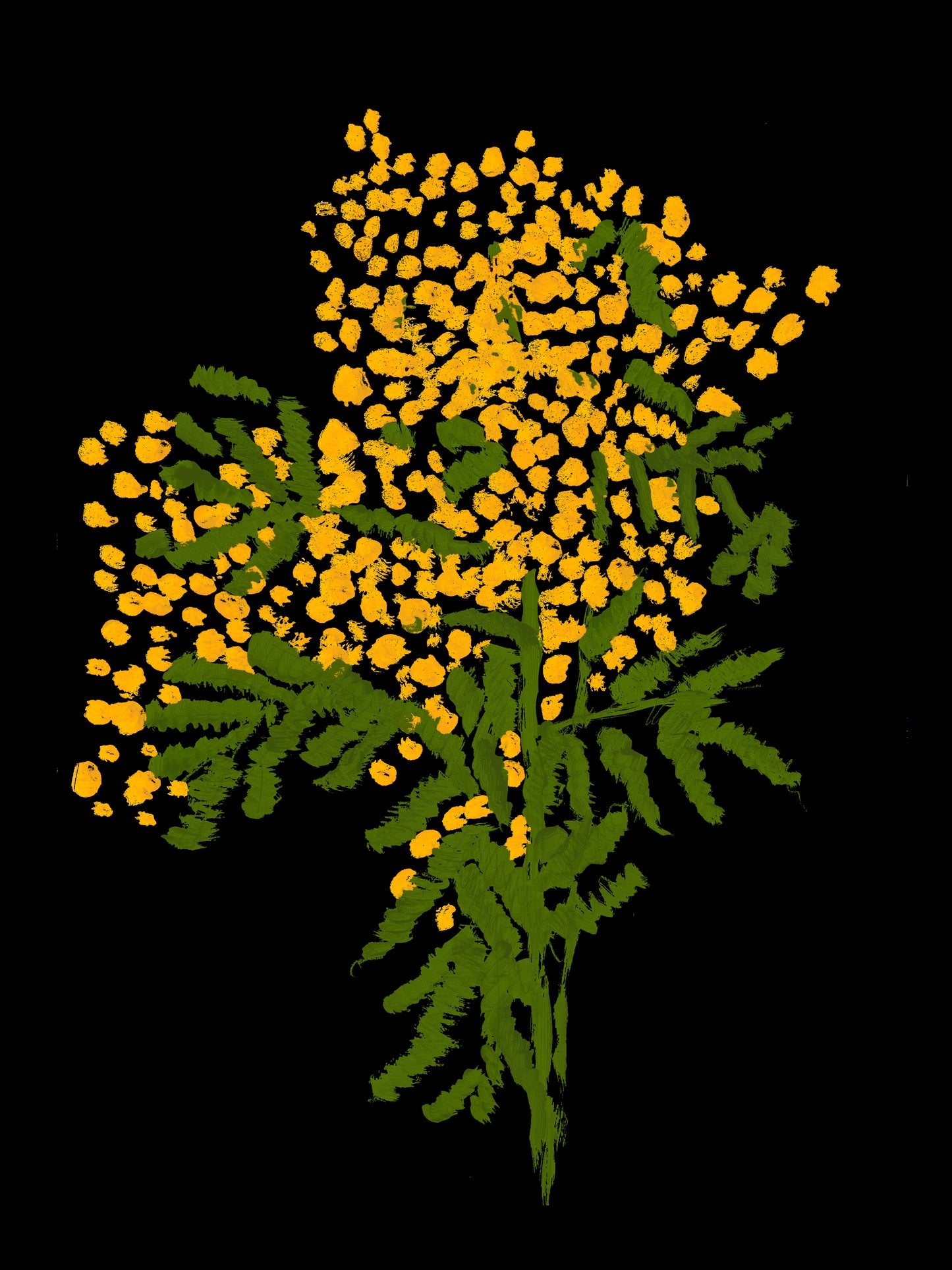Mimosa Painted Graphic. A3 Artwork