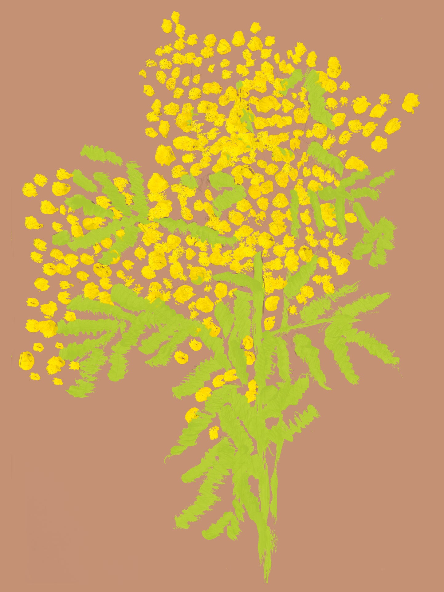 Mimosa Painted Graphic. A3 Artwork