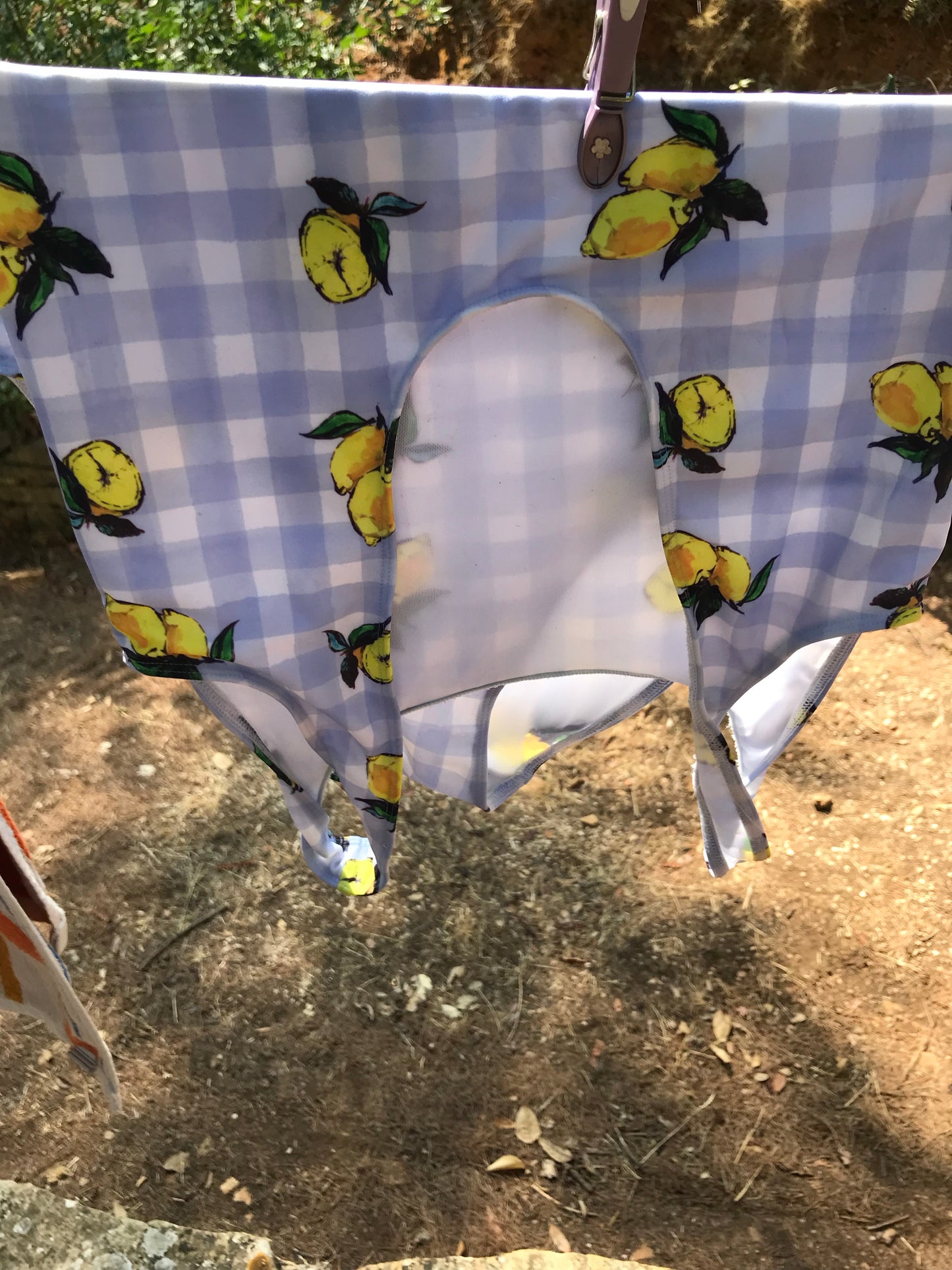 Lemon Swimsuit in Blue